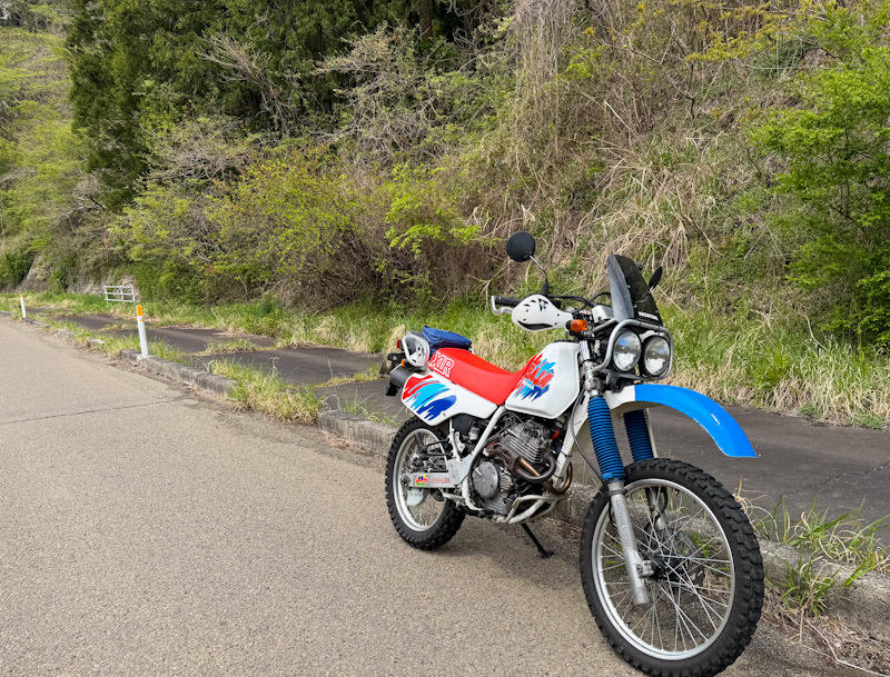 https://www.urchin.me/blog/XLR250Baja04-1.jpg