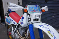 XR250R_2022_03_16-2.JPG